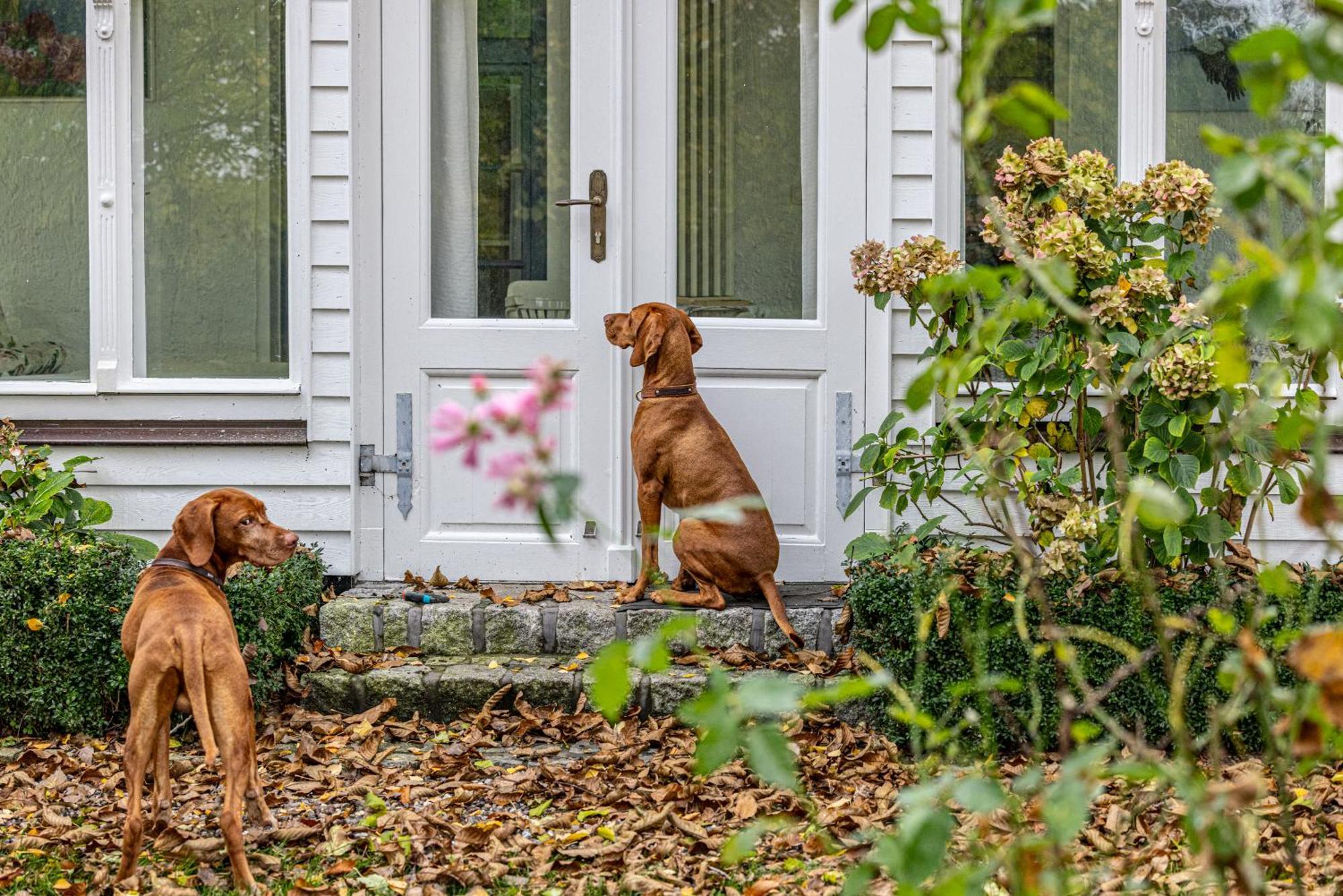 Landhaus Einer Malerin Poseritz Buitenkant foto